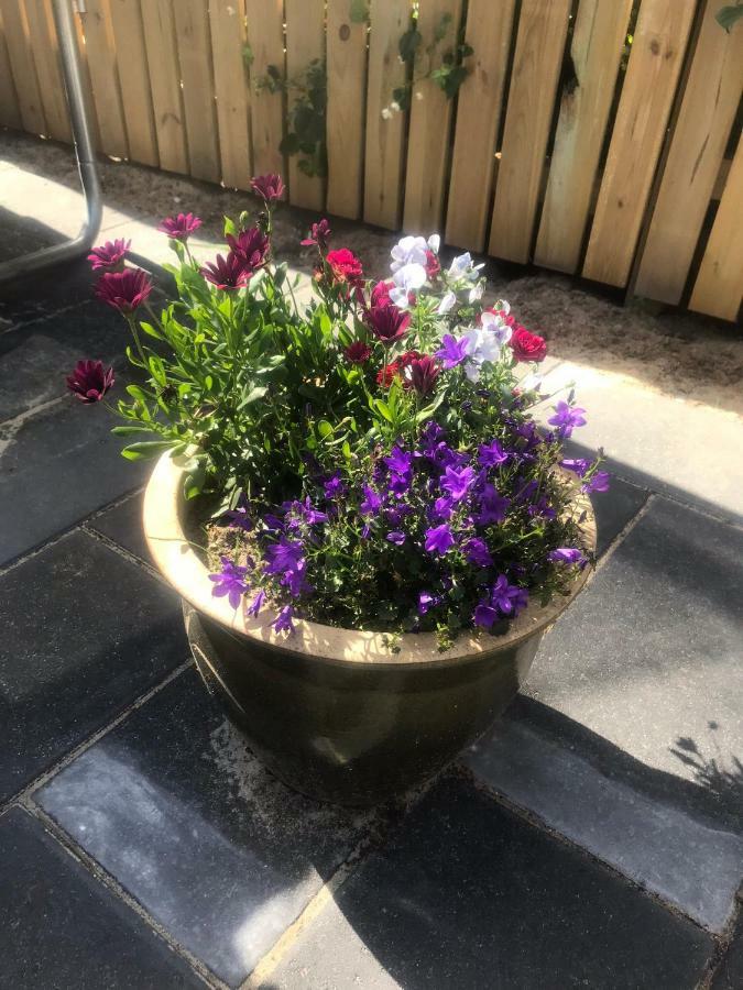 Apartament Sohuset Viborg Zewnętrze zdjęcie